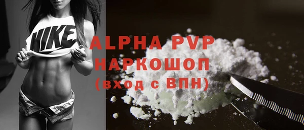 крисы Абаза