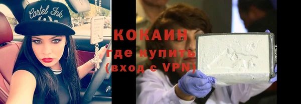 крисы Абаза
