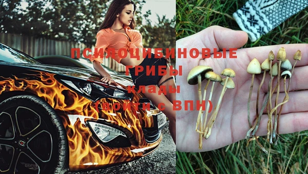 гашик Алзамай