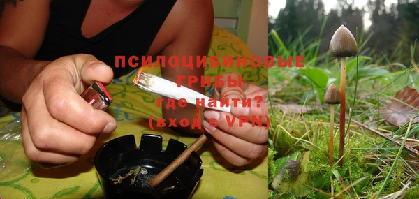 крисы Абаза