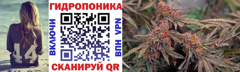 МАРИХУАНА сатива  Палласовка 